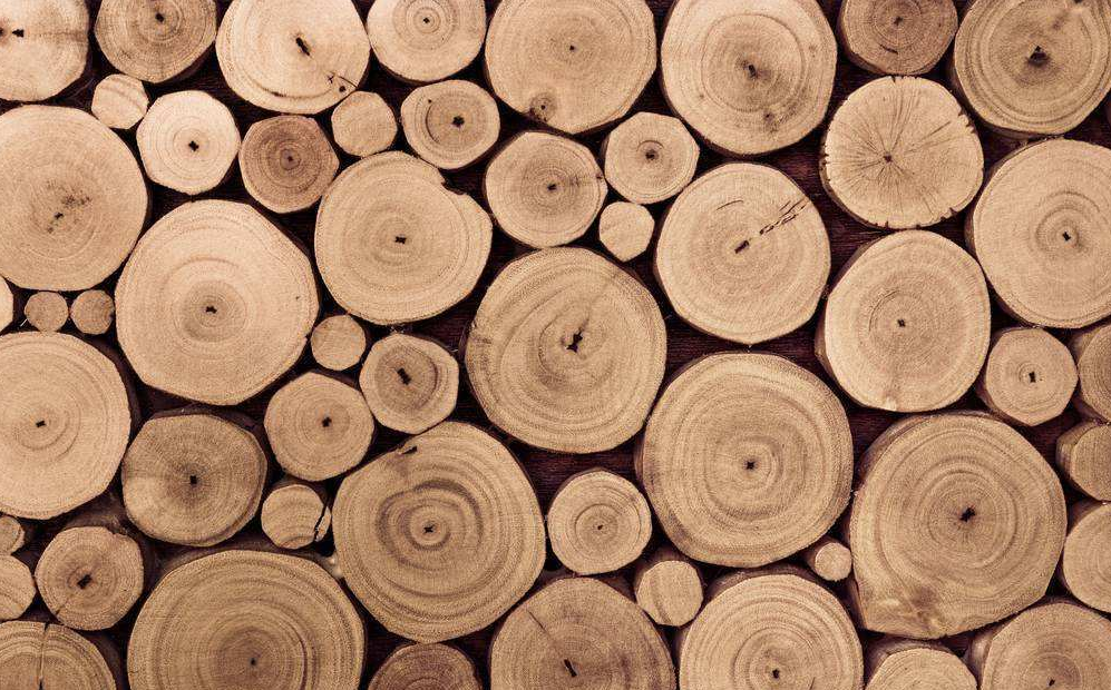 2025年市政资质升级必备条件和申请材料有哪些